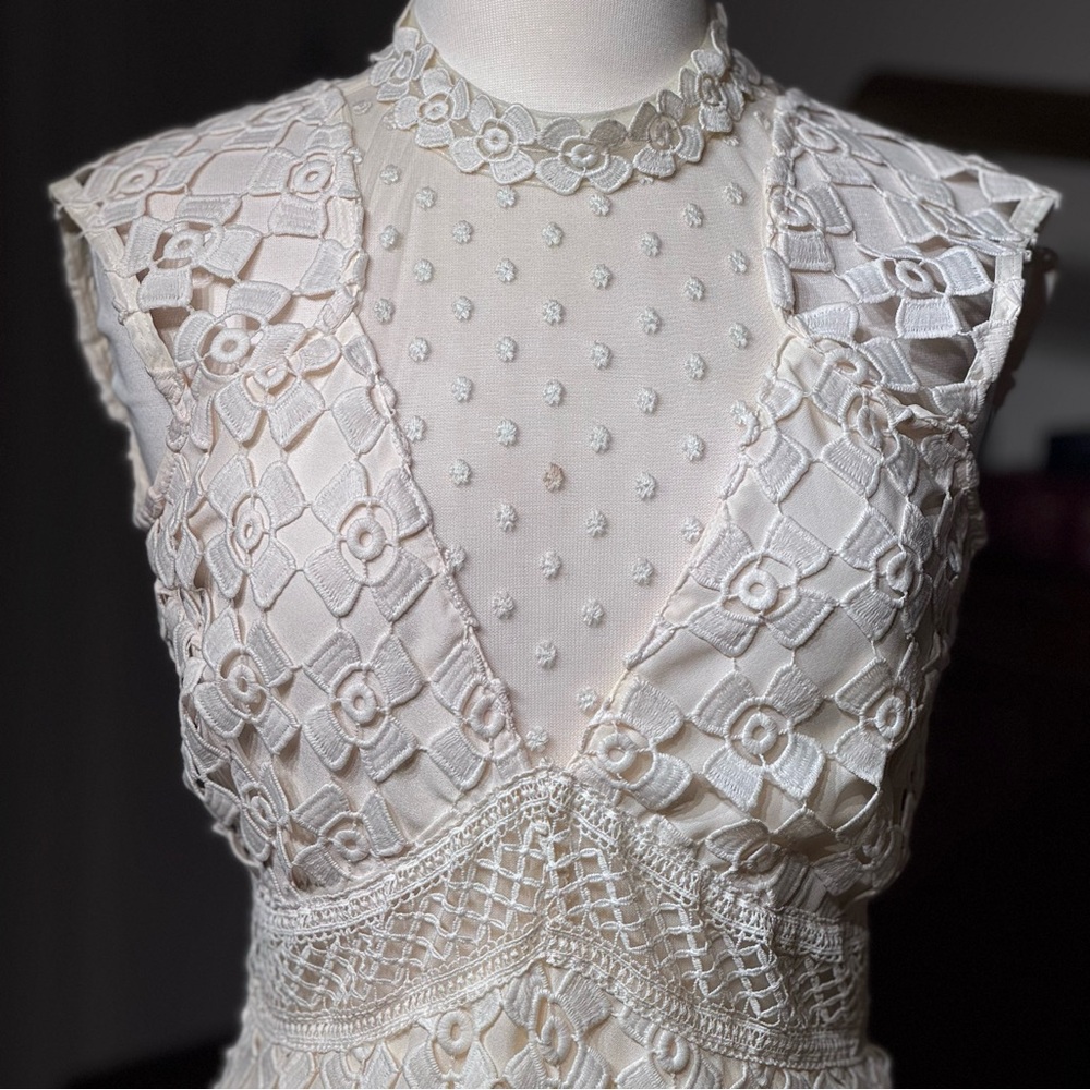 Romeo & Juliet Couture Cream Lace Mini Dress - Picture 6 of 12